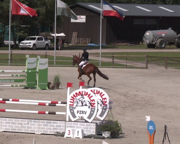 Reitturnier Luhmühlen 2024