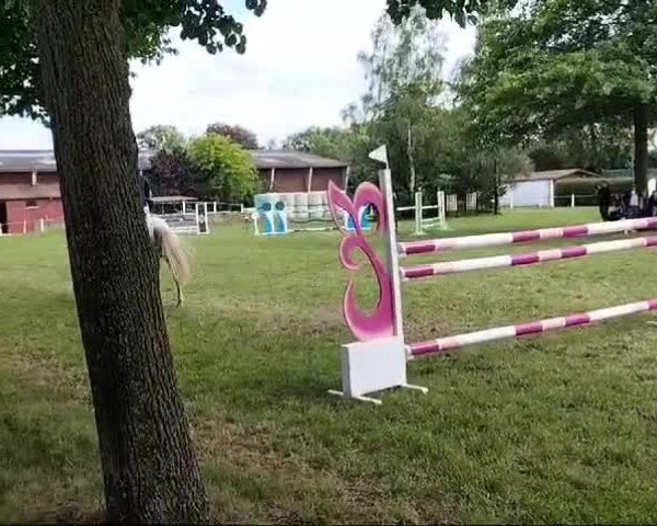 Video of Cookie Aj