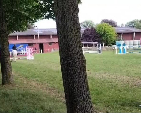 Video of Cookie Aj