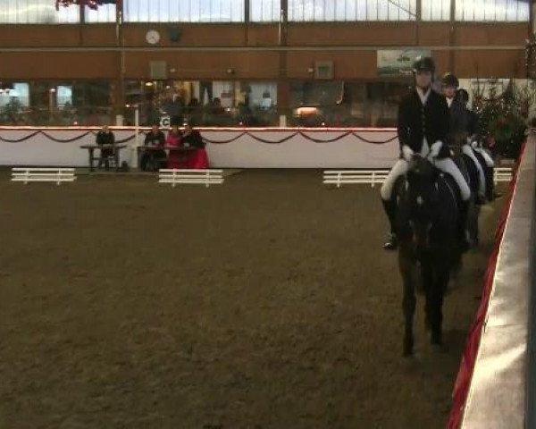Hallen-Reit- und Springturnier des RV Suedlohn-Oeding für Ponys und Großpferde 2012