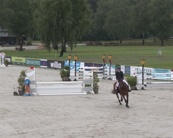 Reitturnier Luhmühlen 2024