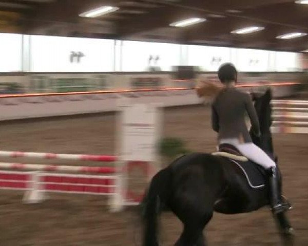 Hallen-Reit- und Springturnier des RV Suedlohn-Oeding für Ponys und Großpferde 2012