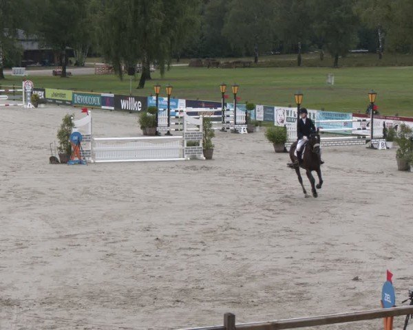 Reitturnier Luhmühlen 2024