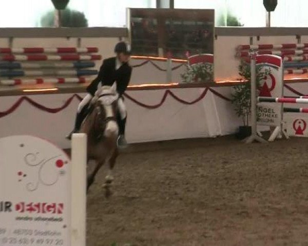 Hallen-Reit- und Springturnier des RV Suedlohn-Oeding für Ponys und Großpferde 2012