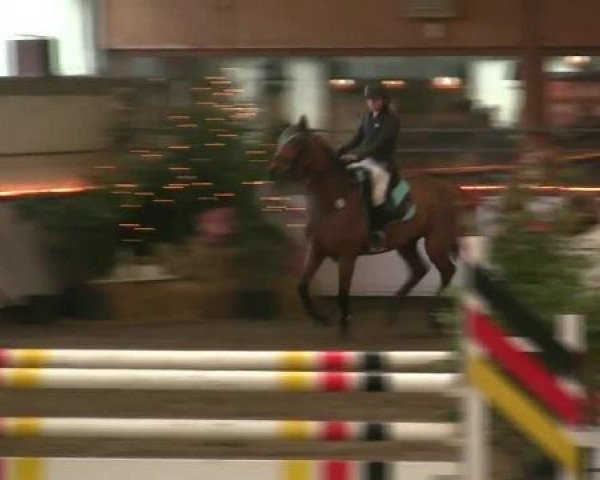 Hallen-Reit- und Springturnier des RV Suedlohn-Oeding für Ponys und Großpferde 2012