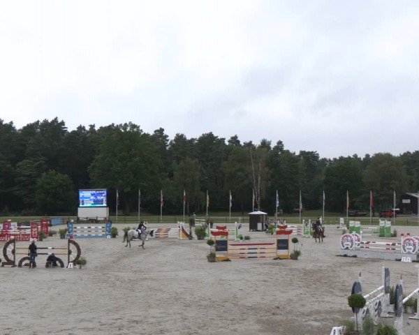 Reitturnier Luhmühlen 2024