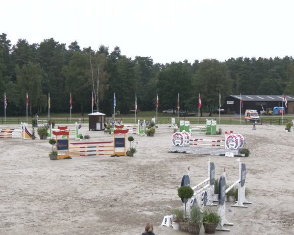 Reitturnier Luhmühlen 2024