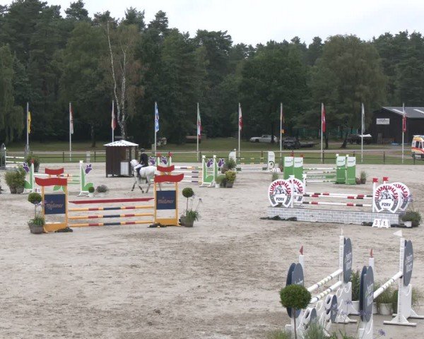 Reitturnier Luhmühlen 2024