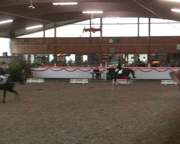 Hallen-Reit- und Springturnier des RV Suedlohn-Oeding für Ponys und Großpferde 2012