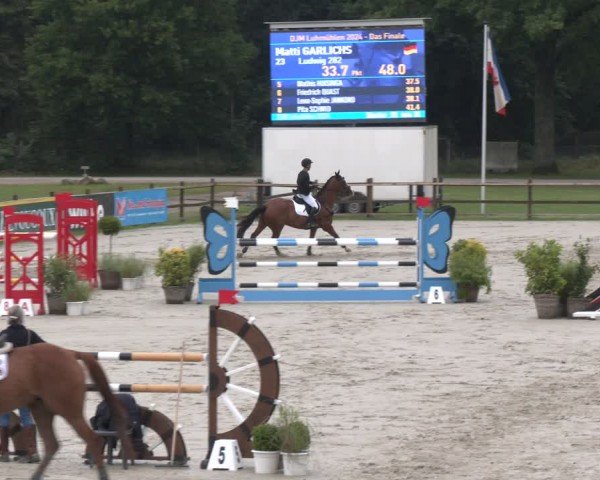 Reitturnier Luhmühlen 2024