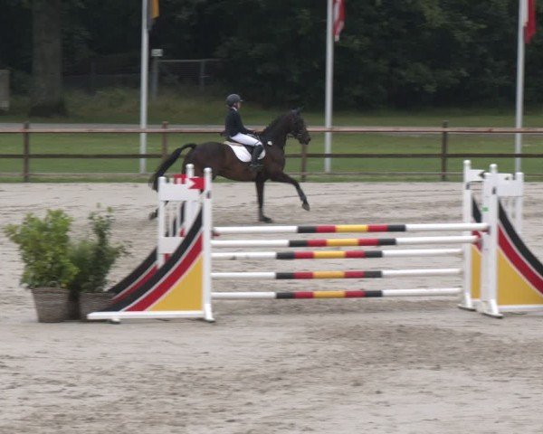 Reitturnier Luhmühlen 2024