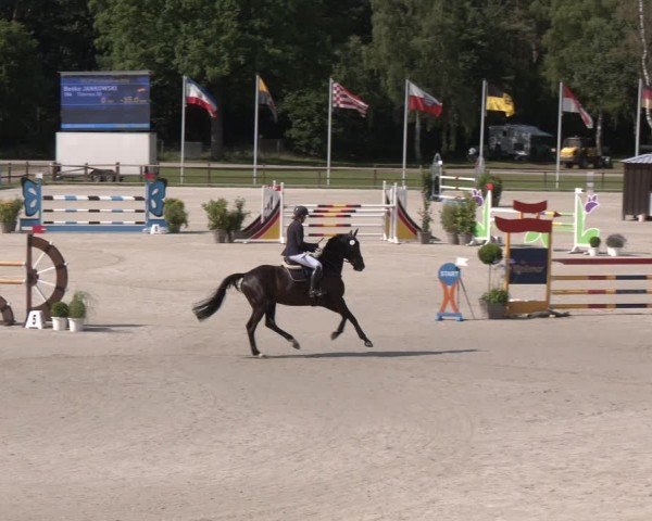 Reitturnier Luhmühlen 2024