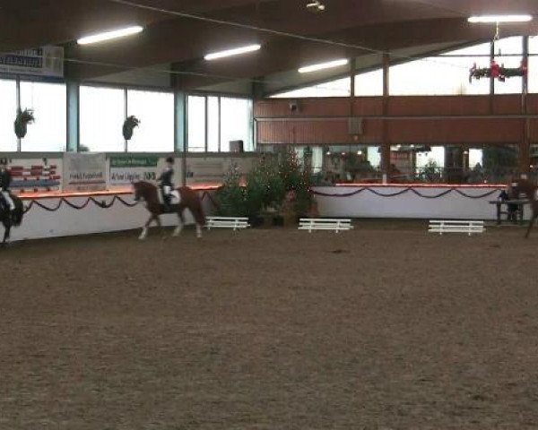 Hallen-Reit- und Springturnier des RV Suedlohn-Oeding für Ponys und Großpferde 2012