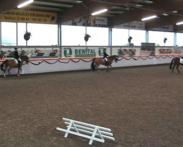 Hallen-Reit- und Springturnier des RV Suedlohn-Oeding für Ponys und Großpferde 2012