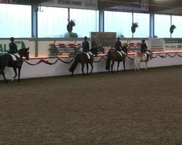 Hallen-Reit- und Springturnier des RV Suedlohn-Oeding für Ponys und Großpferde 2012