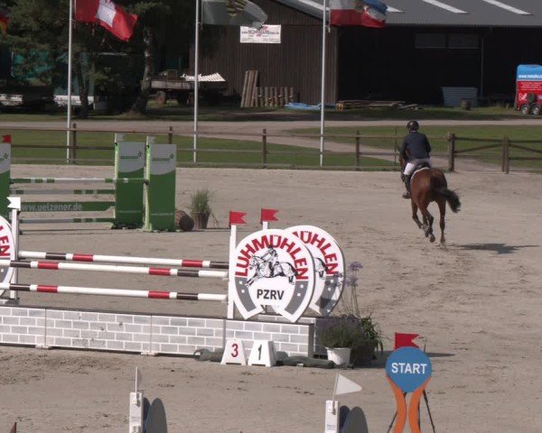 Reitturnier Luhmühlen 2024