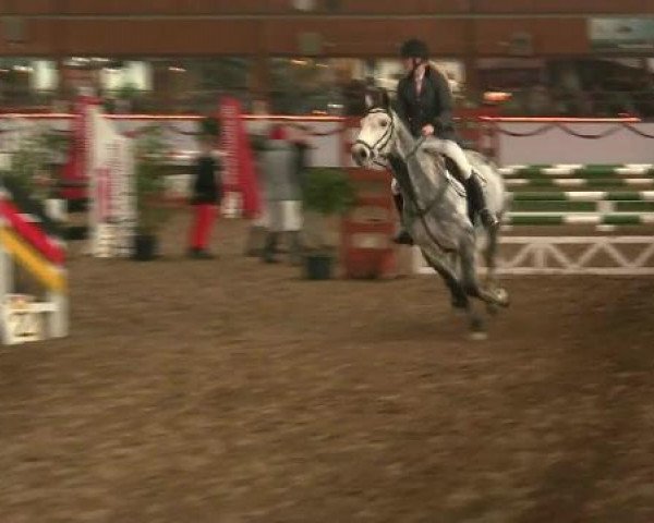 Hallen-Reit- und Springturnier des RV Suedlohn-Oeding für Ponys und Großpferde 2012