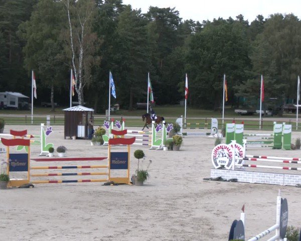 Reitturnier Luhmühlen 2024