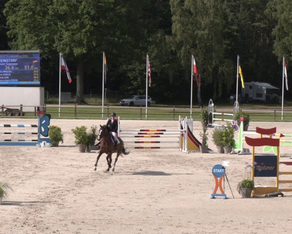 Reitturnier Luhmühlen 2024