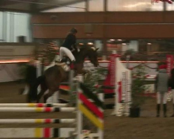 Hallen-Reit- und Springturnier des RV Suedlohn-Oeding für Ponys und Großpferde 2012