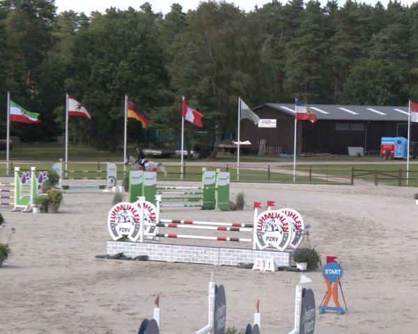 Reitturnier Luhmühlen 2024