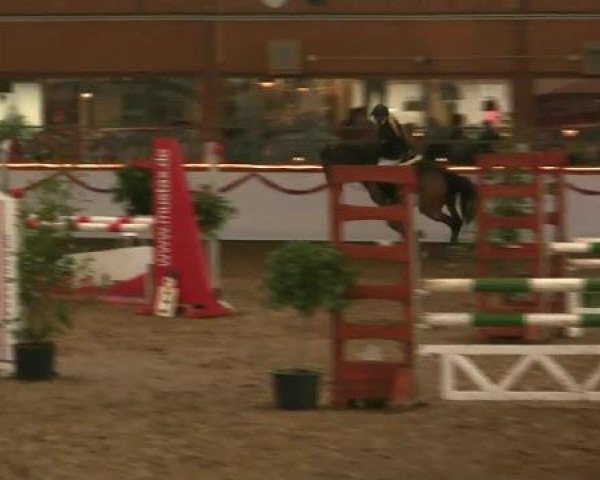 Hallen-Reit- und Springturnier des RV Suedlohn-Oeding für Ponys und Großpferde 2012
