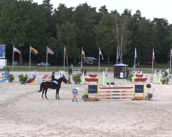 Reitturnier Luhmühlen 2024