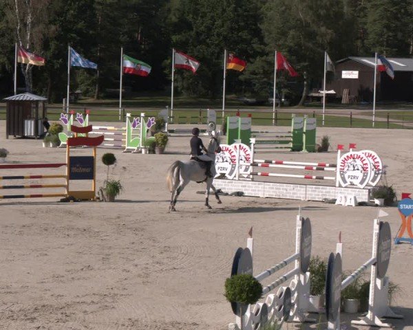 Reitturnier Luhmühlen 2024
