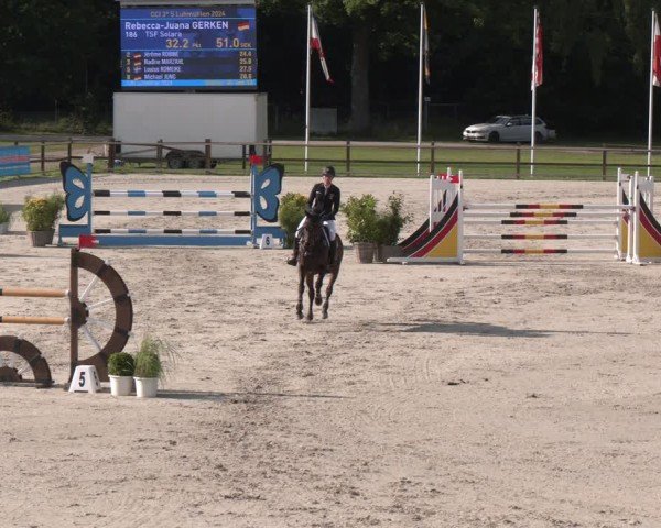 Reitturnier Luhmühlen 2024