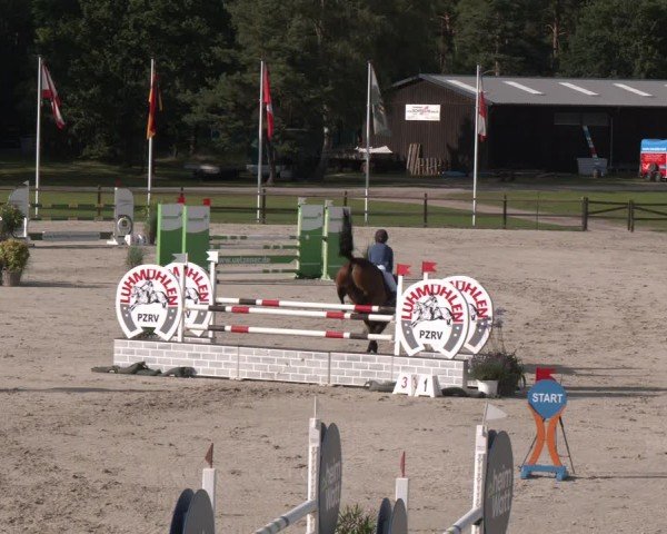 Reitturnier Luhmühlen 2024