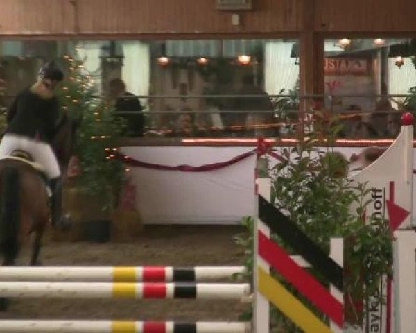 Hallen-Reit- und Springturnier des RV Suedlohn-Oeding für Ponys und Großpferde 2012