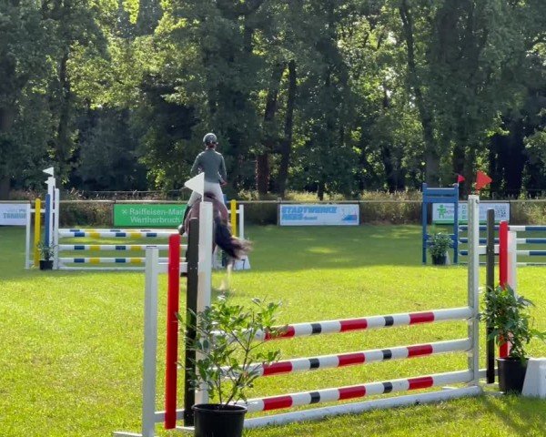 Video of Extasy 18