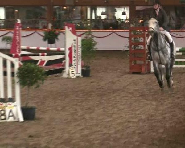Hallen-Reit- und Springturnier des RV Suedlohn-Oeding für Ponys und Großpferde 2012