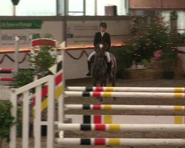 Hallen-Reit- und Springturnier des RV Suedlohn-Oeding für Ponys und Großpferde 2012