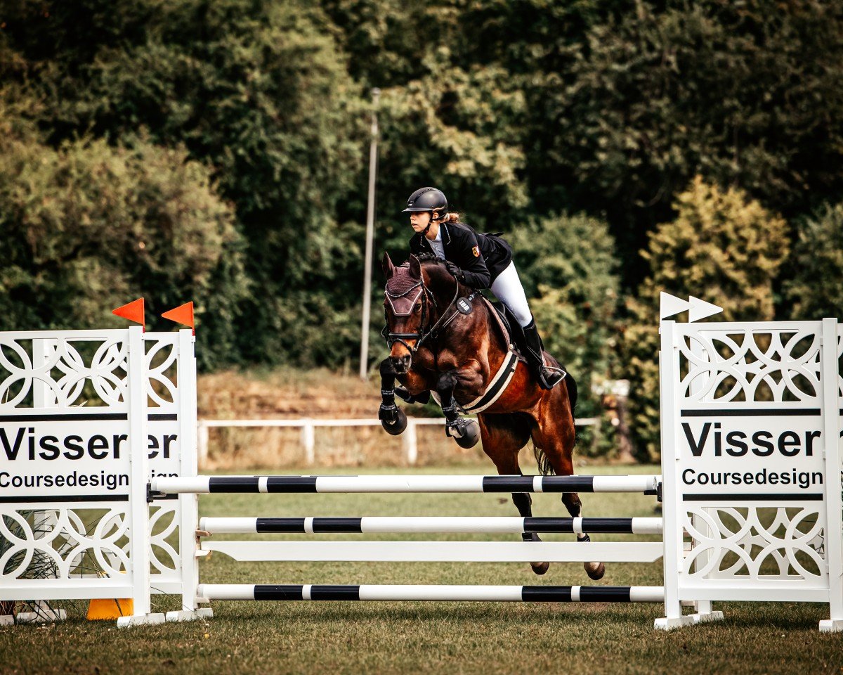 Cavallo da salto And with me (Württemberger, 2012, di Amadelio)
