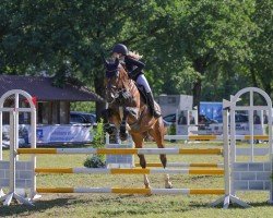 broodmare Coppa D'oro (German Sport Horse, 2015, from Cristallo I)