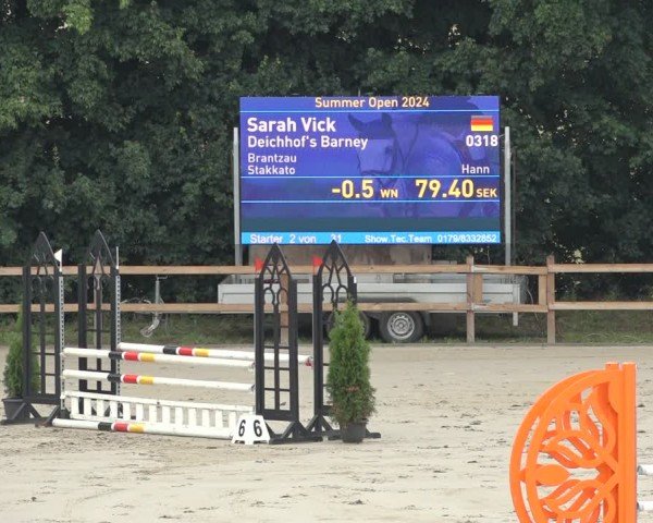 Reitturnier Scharnebeck 2024