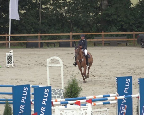 Reitturnier Scharnebeck 2024