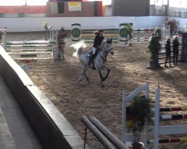 20. Winter Hallen Reit- und Springturnier RFV Alt-Marl 28.-30.12.2012