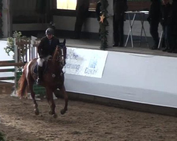 20. Winter Hallen Reit- und Springturnier RFV Alt-Marl 28.-30.12.2012