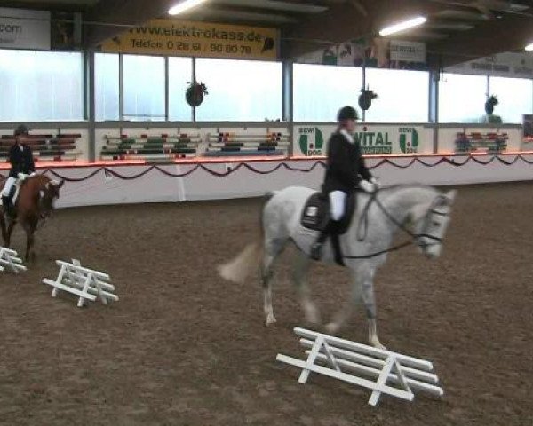 Hallen-Reit- und Springturnier des RV Suedlohn-Oeding für Ponys und Großpferde 2012