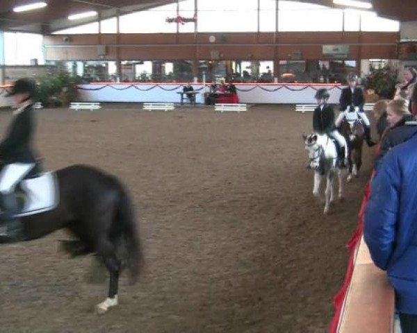 Hallen-Reit- und Springturnier des RV Suedlohn-Oeding für Ponys und Großpferde 2012