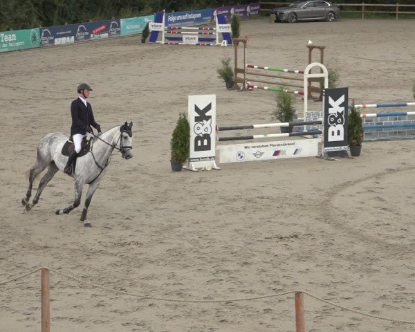 Reitturnier Scharnebeck 2024