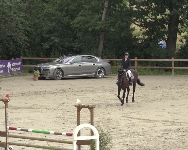 Reitturnier Scharnebeck 2024