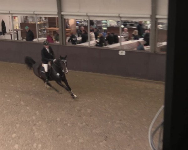 Reitturnier Legden 2021