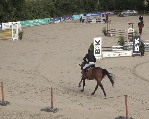 Reitturnier Scharnebeck 2024