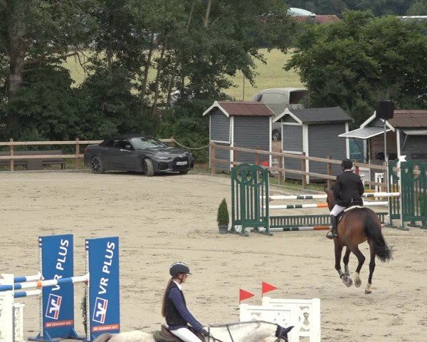 Reitturnier Scharnebeck 2024