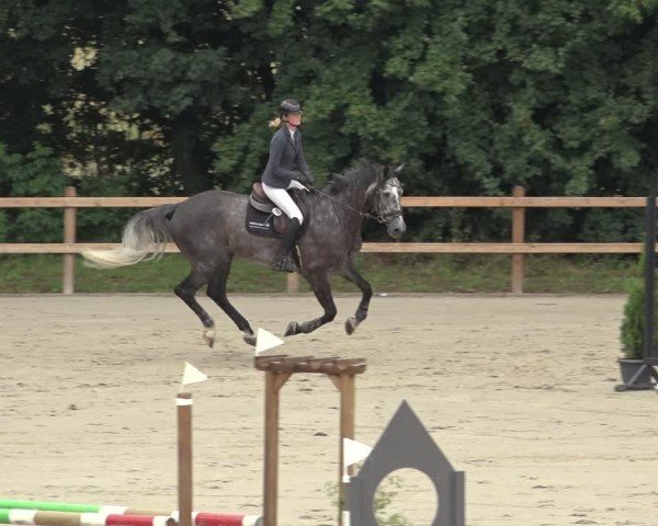 Reitturnier Scharnebeck 2024