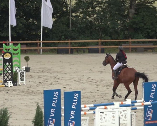 Reitturnier Scharnebeck 2024