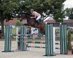 jumper Clarita (Oldenburg show jumper, 2016, from Capote 3)